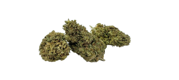 Fleurs de Lemon-K   BIO – Image 3