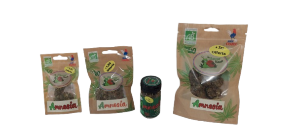 Fleurs d'Amnesia  BIO – Image 2