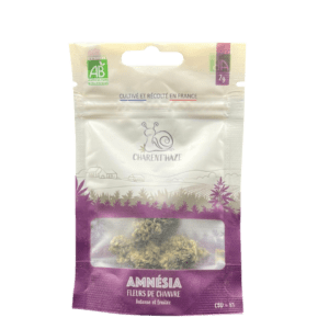 Amnesia  Bio