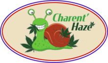 Charent'Haze – Le Chanvre à fleur, BIO et Français – France