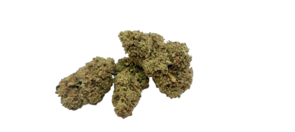 Fleurs d'Amnesia  BIO – Image 4