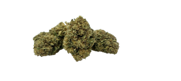Fleurs de OG-Kush Bio – Image 4