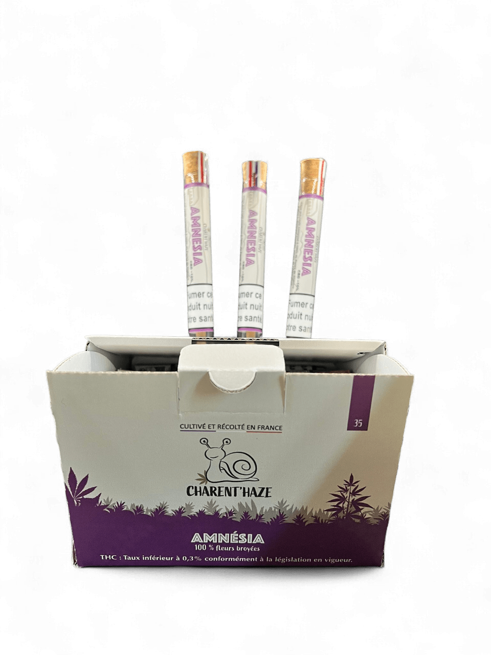 Pré-Roulés Amnesia – Image 3