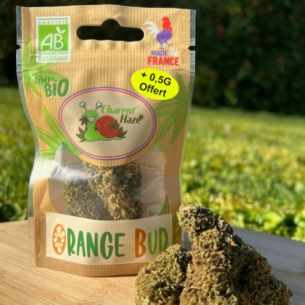 Orange Bud