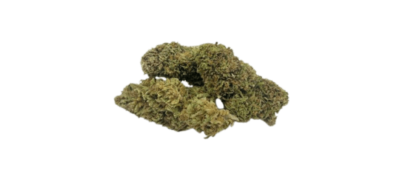 Orange Bud – Image 2