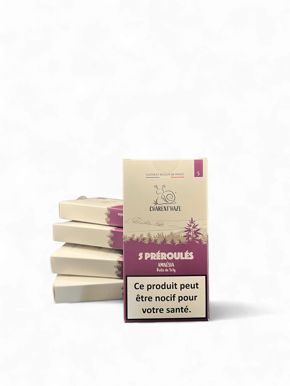 Pré-Roulés Amnesia – Image 2