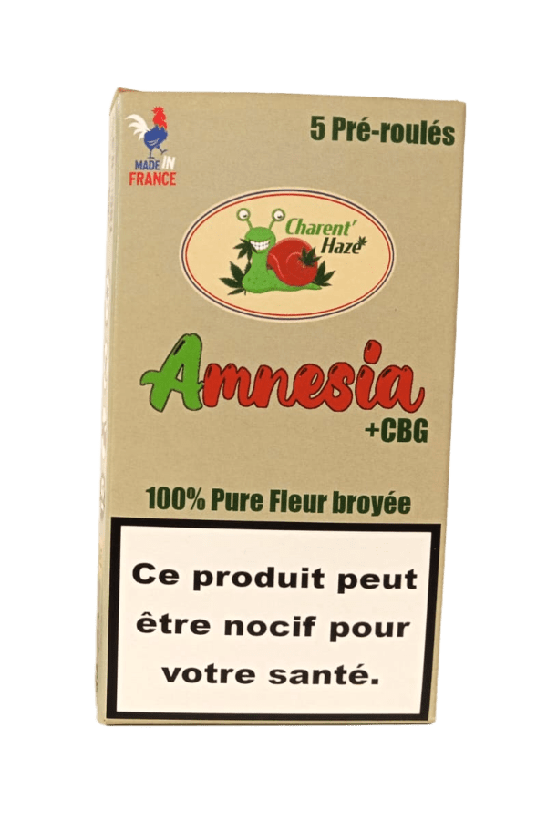 Paquet de 5 Préroulé Amnesia + CBG