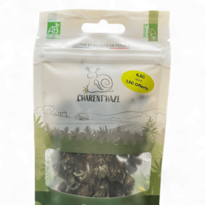 Pops L'Originale  Bio