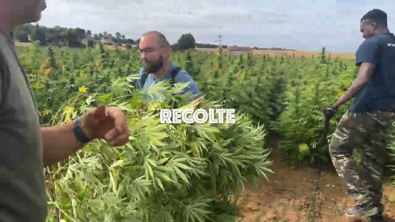 Une saison chez Charent’Haze