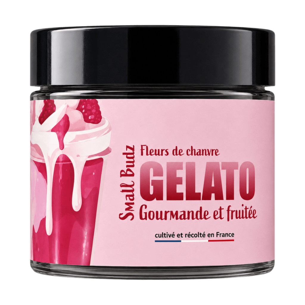 Small-Budz - Gelato - Bio - Pot de 2G